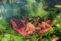 papua_22set26_2194_small.jpg