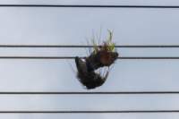 papua_23set26_2244_small.jpg
