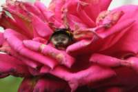 img_3751_small.jpg