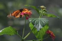 img_4098_small.jpg