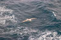 sval21lug25_0075_small.jpg