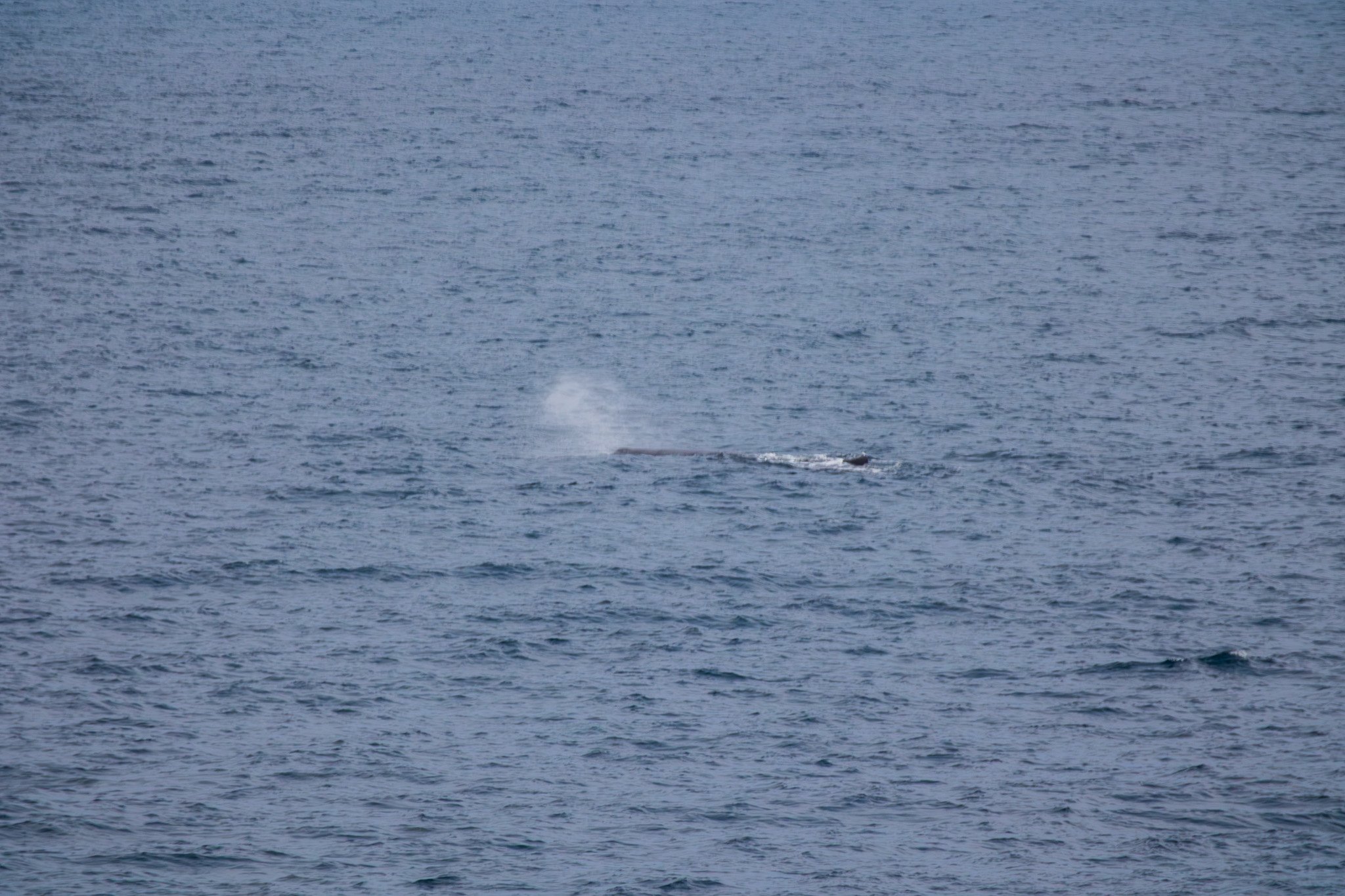 sval21lug25_0081.jpg