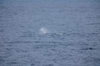 sval21lug25_0081_small.jpg