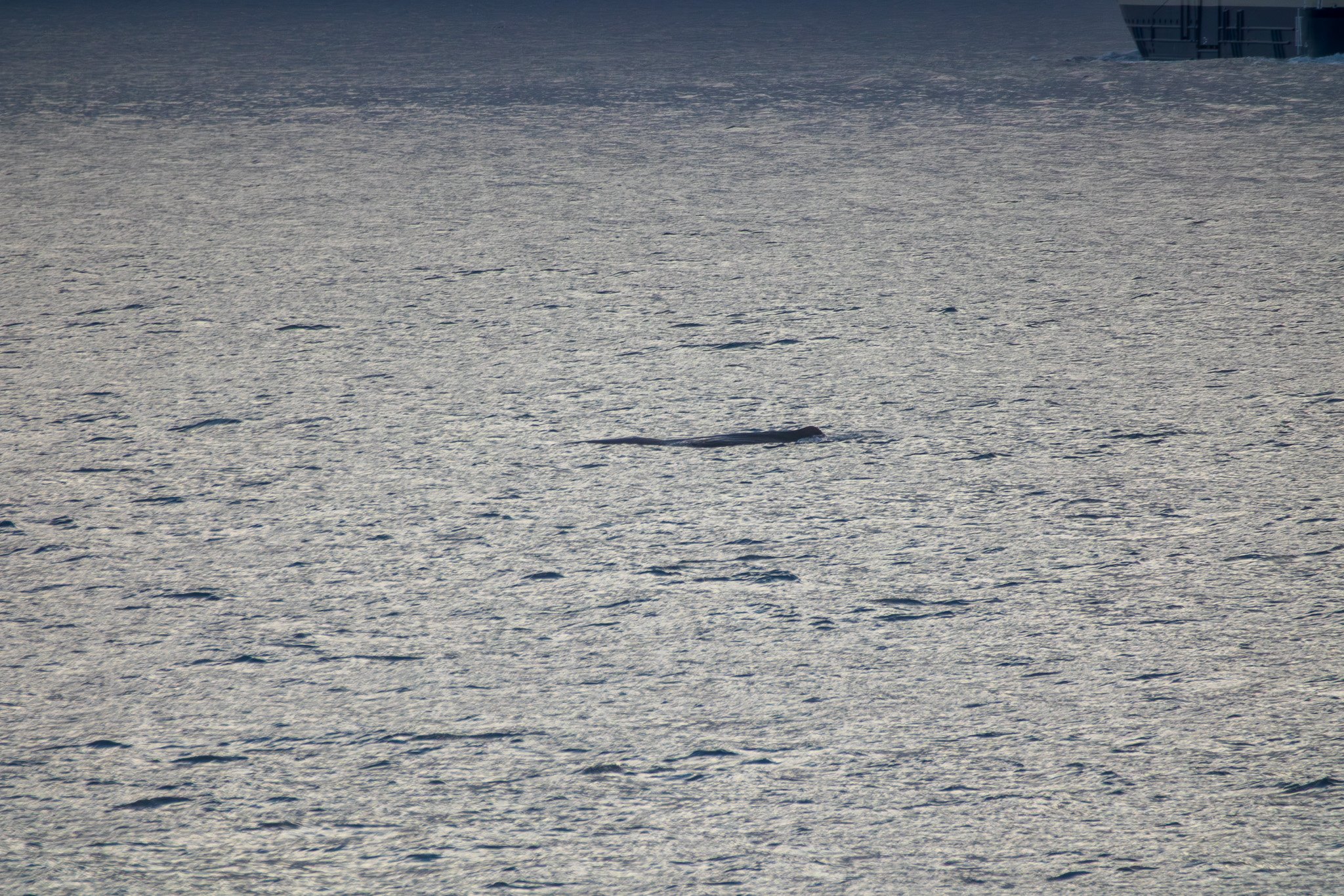 sval21lug25_0093.jpg