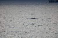 sval21lug25_0093_small.jpg