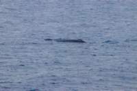sval21lug25_0106_small.jpg