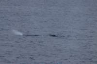 sval21lug25_0107_small.jpg