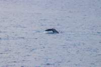 sval21lug25_0108_small.jpg