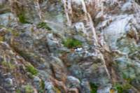 sval22lug25_0127_small.jpg