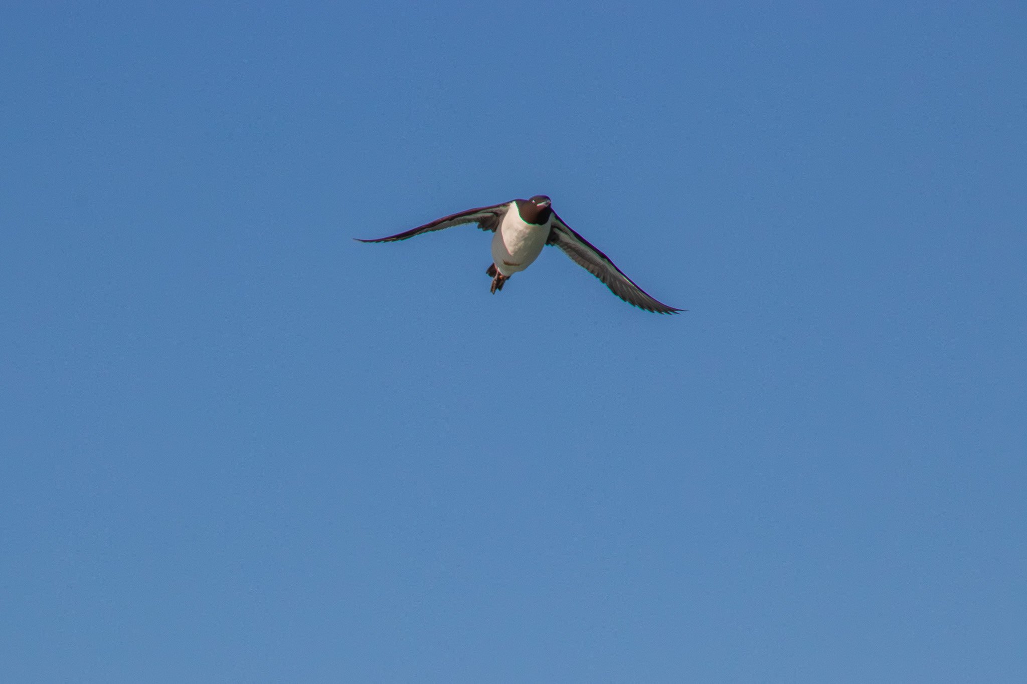 sval22lug25_0139.jpg
