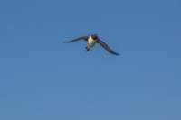 sval22lug25_0139_small.jpg