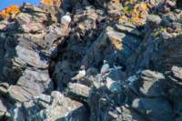 sval22lug25_0142_small.jpg