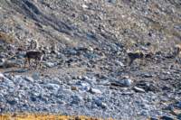 sval22lug25_0161_small.jpg
