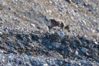 sval22lug25_0165_small.jpg