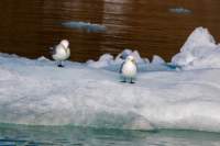 sval22lug25_0182_small.jpg