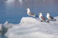 sval22lug25_0183_small.jpg
