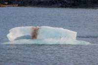 sval22lug25_0209_small.jpg