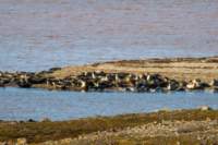 sval22lug25_0234_small.jpg