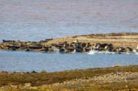 sval22lug25_0235_small.jpg