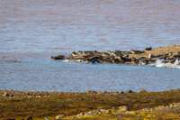 sval22lug25_0236_small.jpg