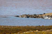 sval22lug25_0237_small.jpg