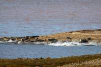 sval22lug25_0238_small.jpg