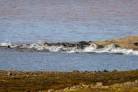 sval22lug25_0239_small.jpg