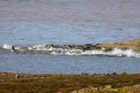 sval22lug25_0240_small.jpg
