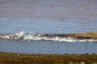 sval22lug25_0241_small.jpg