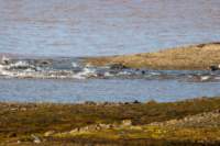 sval22lug25_0242_small.jpg