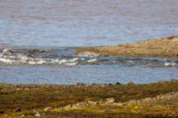 sval22lug25_0243_small.jpg