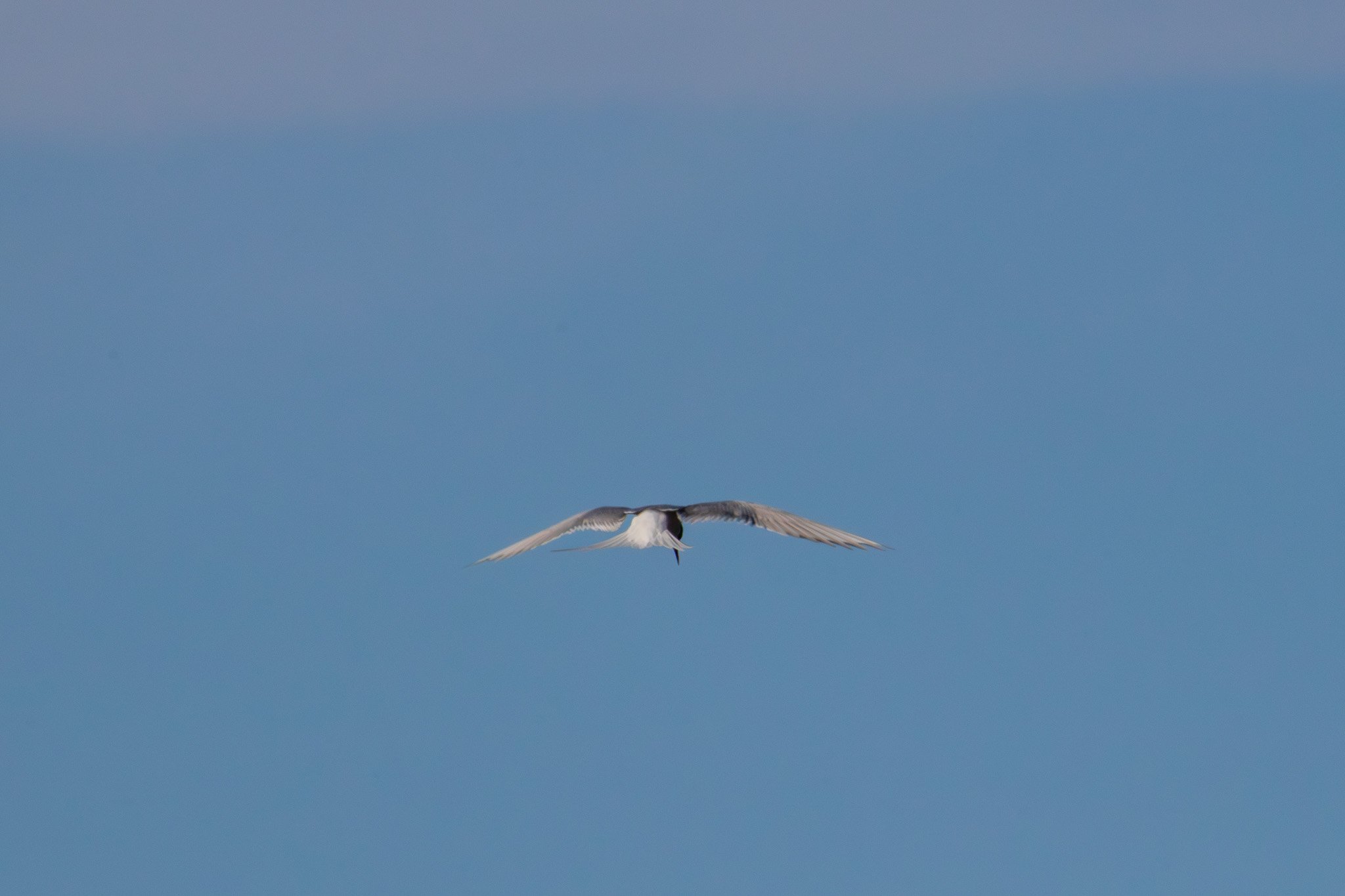sval22lug25_0248.jpg