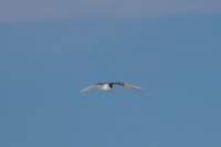 sval22lug25_0248_small.jpg
