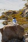 sval22lug25_0256_small.jpg