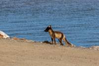 sval22lug25_0259_small.jpg