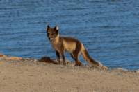 sval22lug25_0261_small.jpg