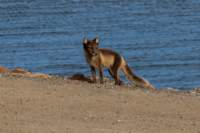 sval22lug25_0262_small.jpg