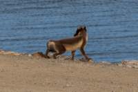 sval22lug25_0263_small.jpg