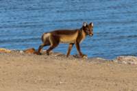 sval22lug25_0264_small.jpg