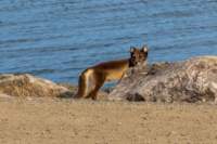 sval22lug25_0265_small.jpg