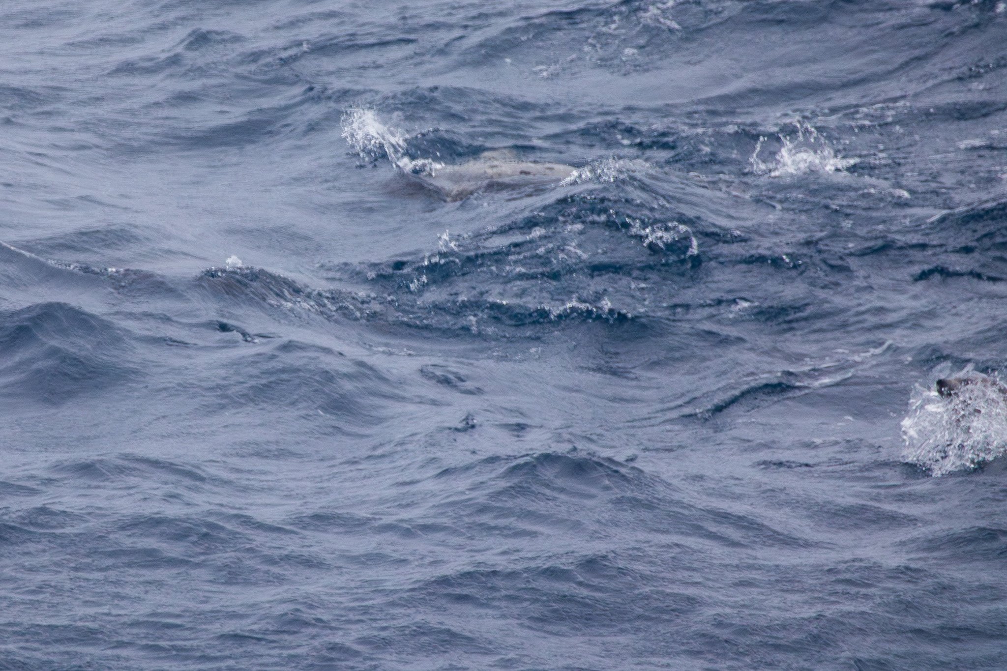 sval24lug25_0431.jpg