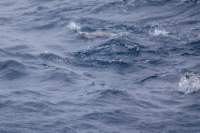 sval24lug25_0431_small.jpg