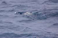 sval24lug25_0432_small.jpg