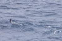 sval24lug25_0433_small.jpg