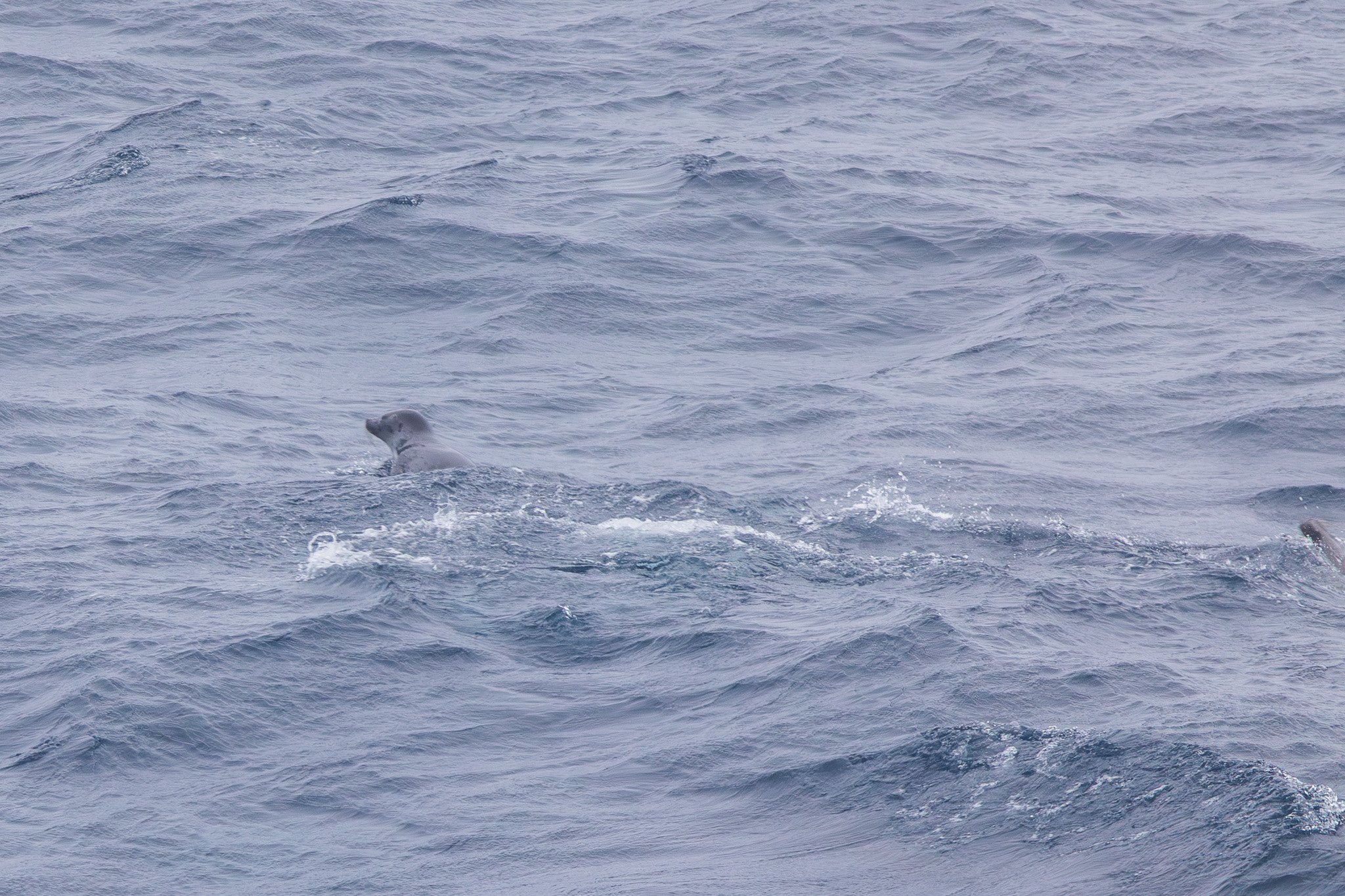 sval24lug25_0434.jpg