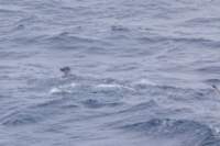 sval24lug25_0434_small.jpg
