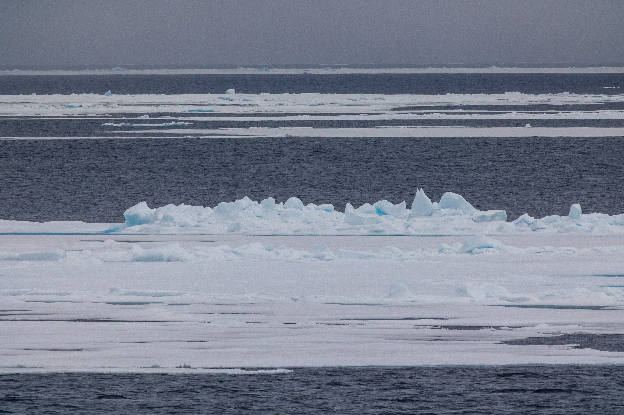 sval24lug25_0442.jpg