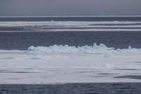 sval24lug25_0442_small.jpg