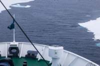 sval24lug25_0462_small.jpg