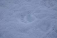 sval24lug25_0526_small.jpg